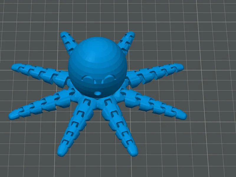 a octopus