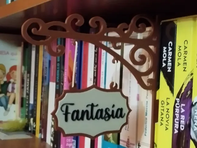 SEPARADOR DE LIBROS POR CATEGORIAS