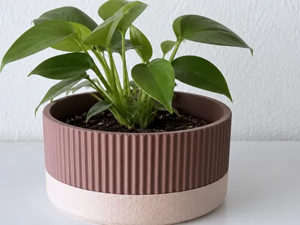 https://makerworld.bblmw.com/makerworld/model/US3c4b9fd5dded1d/design/41ffeffb311f4374.png
