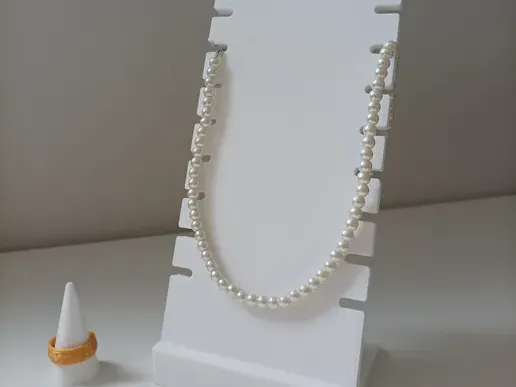 https://makerworld.bblmw.com/makerworld/model/US3c4c72286f0606/design/2025-11-09_dc5d777d78b1c.webp