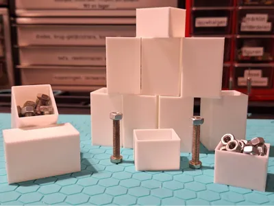 Bolt and nut tray/organizer    