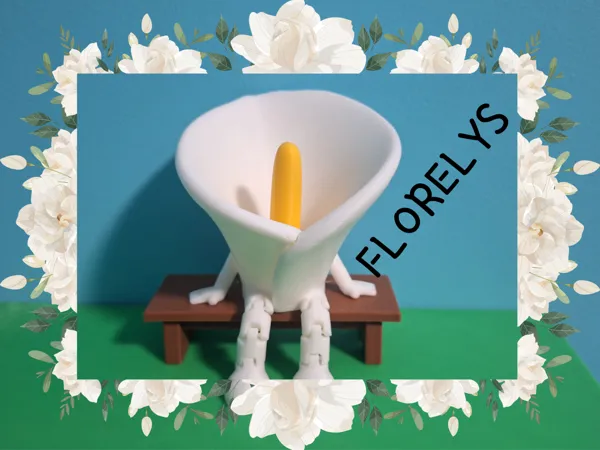 https://makerworld.bblmw.com/makerworld/model/US3c4fc37ed560d5/design/0acb76c5378ecba4.png
