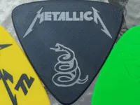 Black Album pick