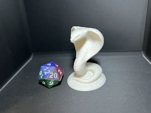 https://makerworld.bblmw.com/makerworld/model/US3c53f8f6da7407/design/3c4eca09c459b36f.jpeg