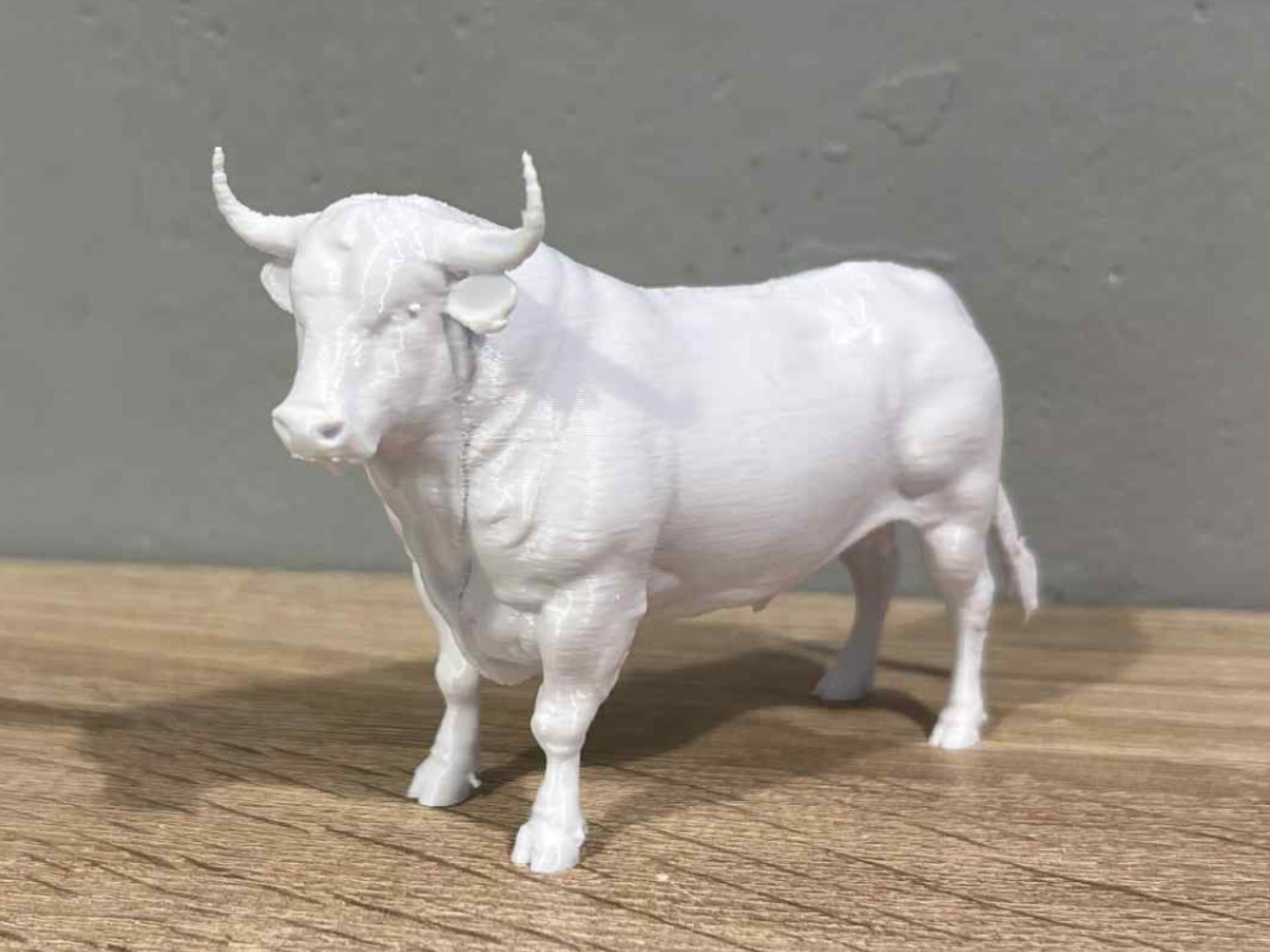 Bull - Animal 