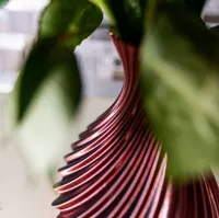 Vase Rose Curve — photo 5