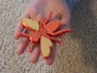 Wasp with colored wings