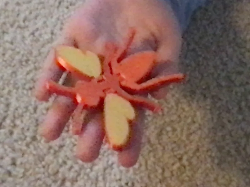 Red Paper Wasp