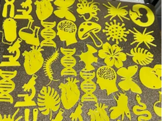 CHAVEIROS DIVERSOS DE BIOLOGIA