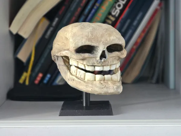 https://makerworld.bblmw.com/makerworld/model/US3c6107dff34d19/design/2025-05-04_3a887d5a475d58.jpg