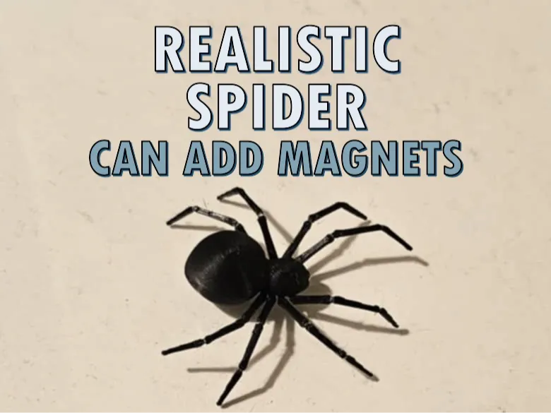Spider Black Widow Magnetic Magic