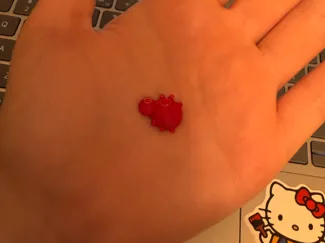 Ladybug Charm