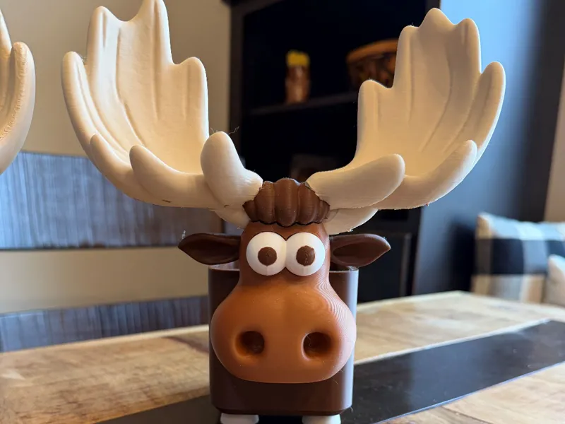 Moose Box