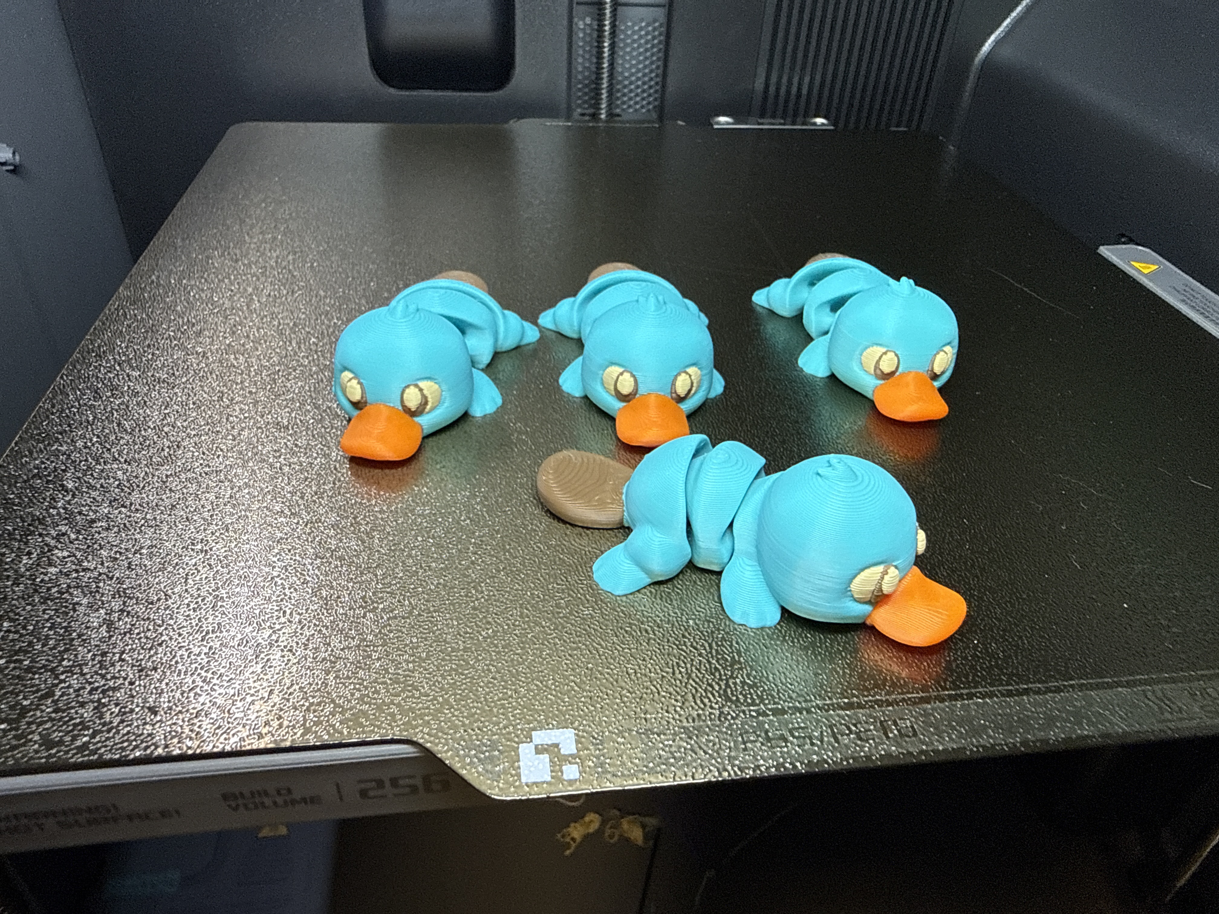 Miniatura 1 do modelo 3D Flexi Mini Platypus 