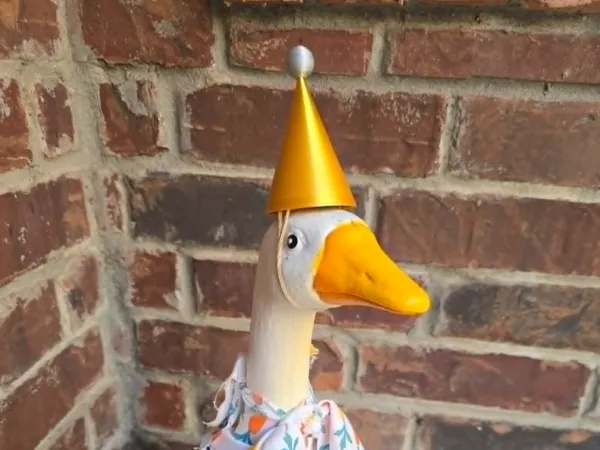 https://makerworld.bblmw.com/makerworld/model/US3c76caf61a6989/design/3860948e283f8ed5.jpeg
