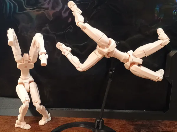 https://makerworld.bblmw.com/makerworld/model/US3c7ddcbf0b8d09/design/2025-03-26_26d3056663ce8.jpg