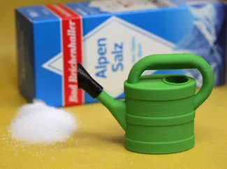 Salt Shaker Watering Can