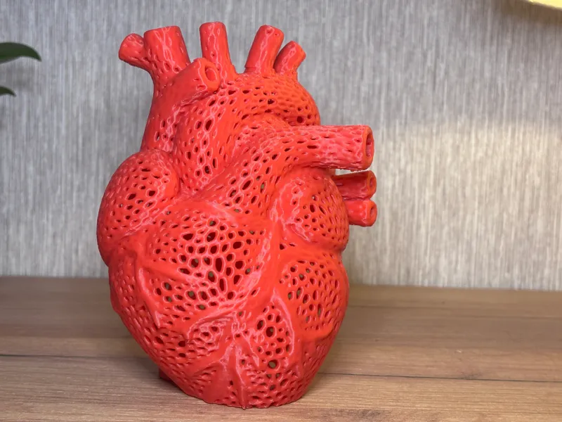 Valentines day Anatomical Heart