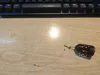 0.2mm layer, 3 walls, 15% infill