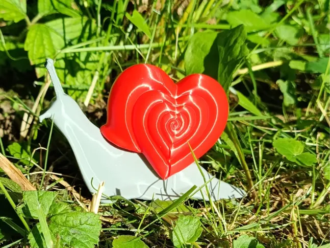 love snail