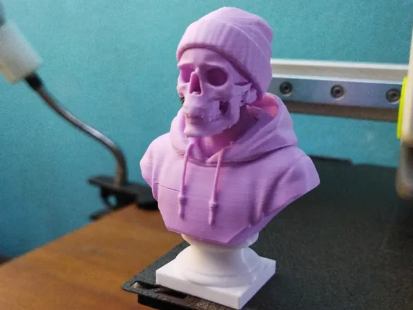 https://makerworld.bblmw.com/makerworld/model/US3c81a4627a0487/design/2025-06-08_47c8950e2ea43.jpeg