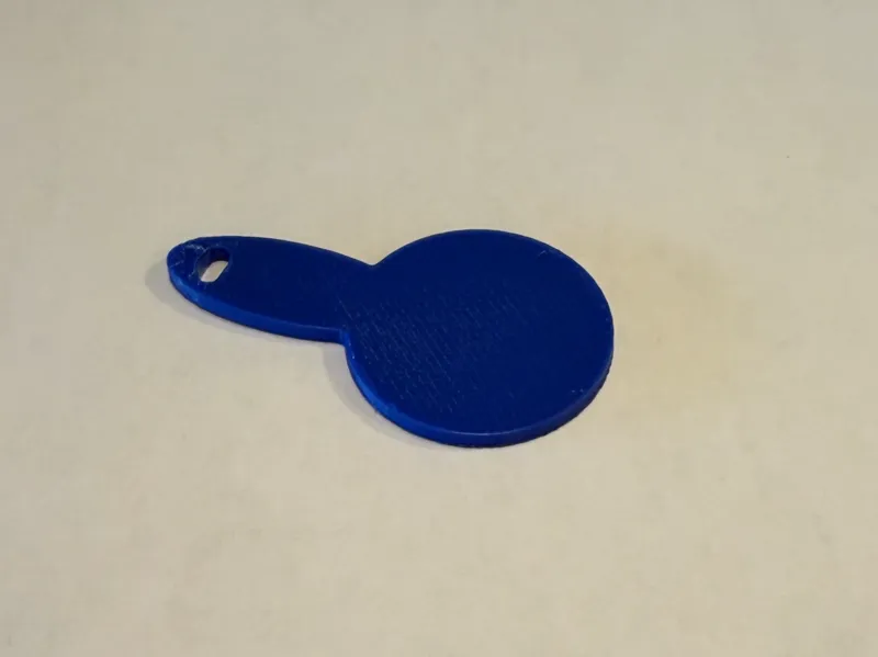 Aldi coin with keyring