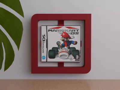 Nintendo DS Game - Wall Frame