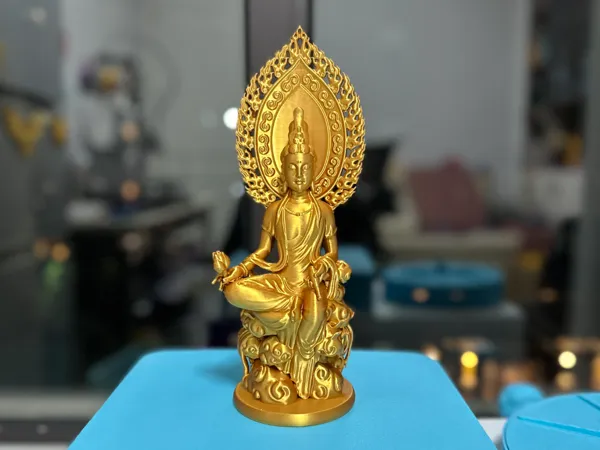 https://makerworld.bblmw.com/makerworld/model/US3c88bf74743c9/design/2025-01-01_e78822348e409.jpg