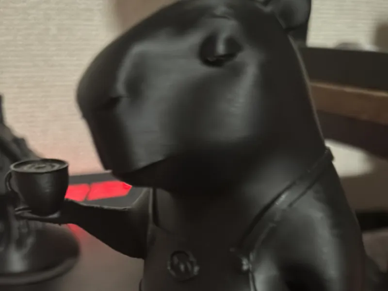 capybara barista