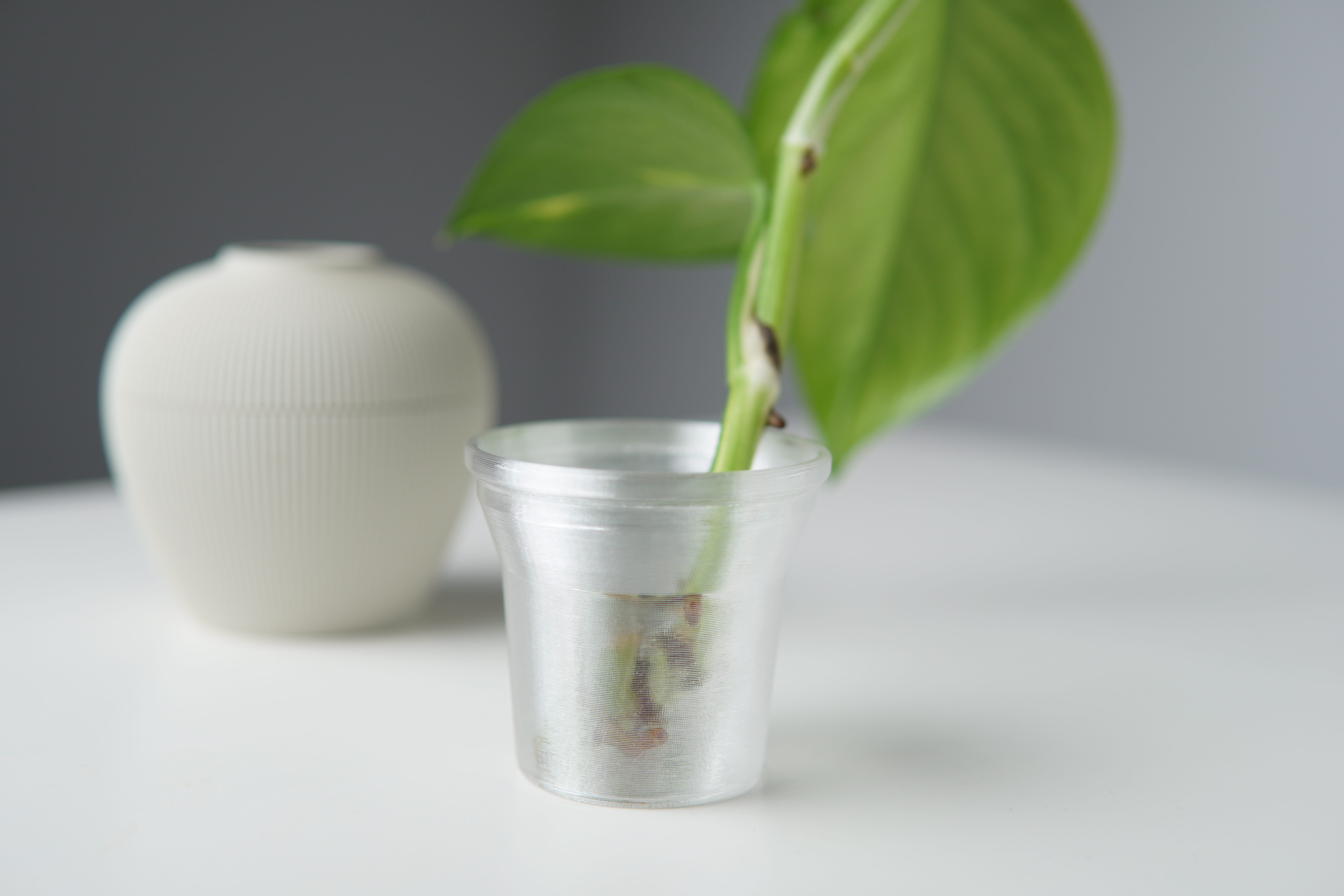 Miniatura 2 do modelo 3D Propagation Vase | PV03