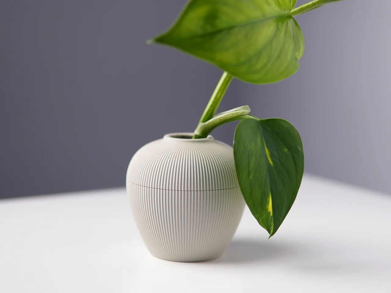 Propagation Vase | PV03 view 2