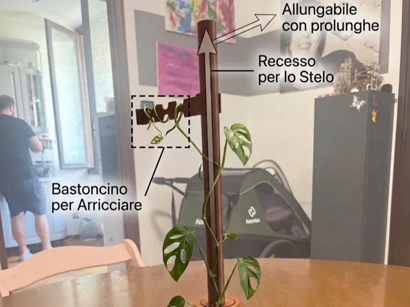 sostegno crescita rampicanti modulare allungabile