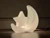 Celestial Night Light MH001