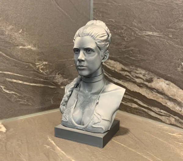 https://makerworld.bblmw.com/makerworld/model/US3c963872d4364e/design/2024-09-20_3b65543ff13238.jpg