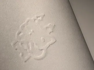 3D relief seal 