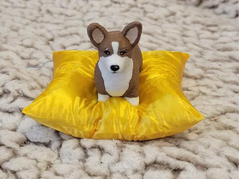 Corgi on a Silk Pillow