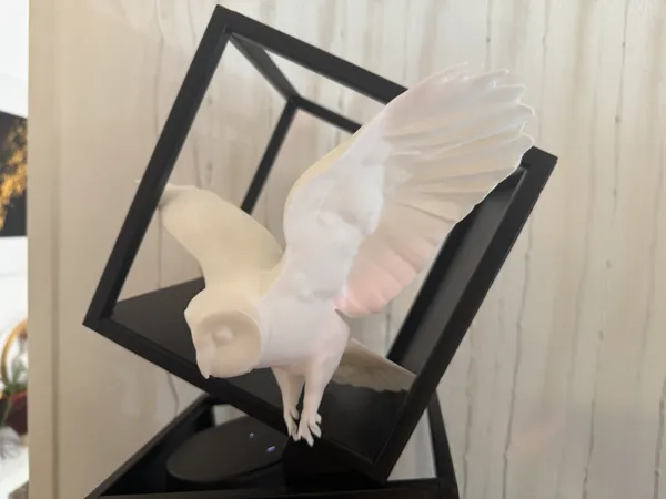 https://makerworld.bblmw.com/makerworld/model/US3c97973dc6b3b/design/2025-08-19_d3c272c46a8cd.jpeg