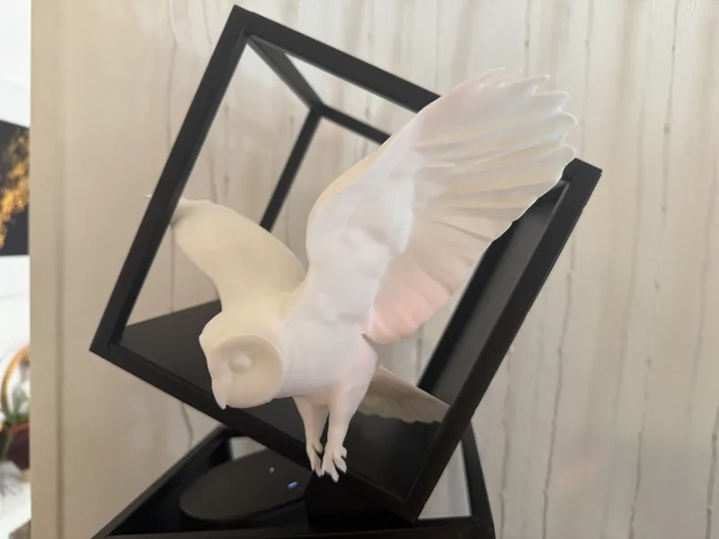 Flying Barn Owl - Maxed Out Model Size