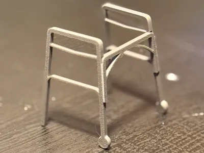 Mobility Walker