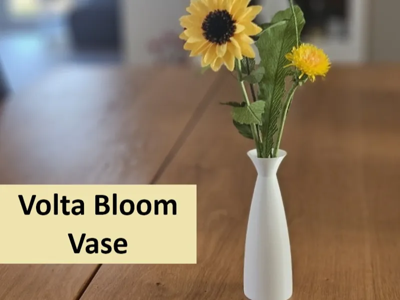 Volta Bloom