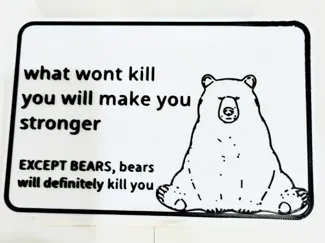 Bears sign