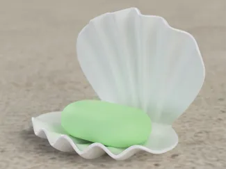 Seashell soap holder