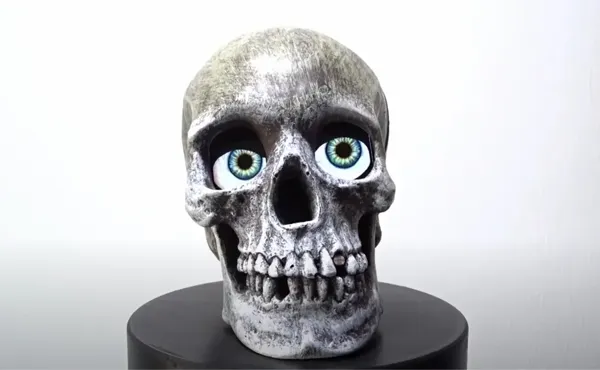 https://makerworld.bblmw.com/makerworld/model/US3ca67b33e90232/design/2024-01-25_8fb10a4042452.webp