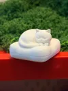 Cats sleeping on sofa