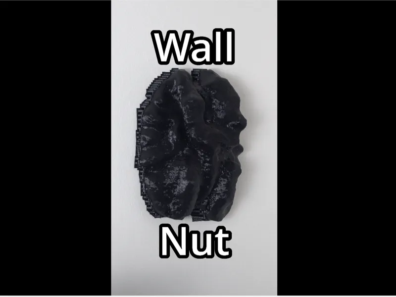 Wall Nut
