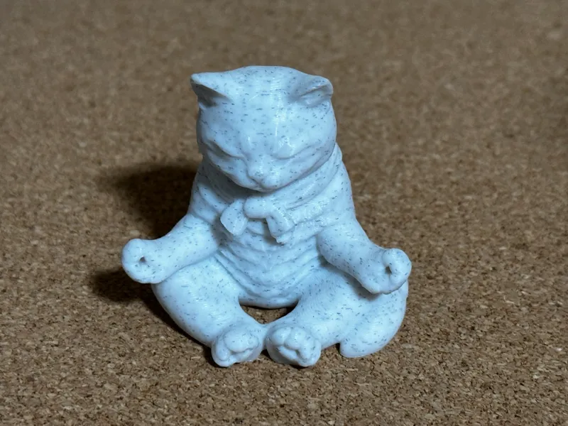 Meditating cat