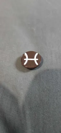 POISSONS - 0.2mm layer, 2 walls, 30% infill