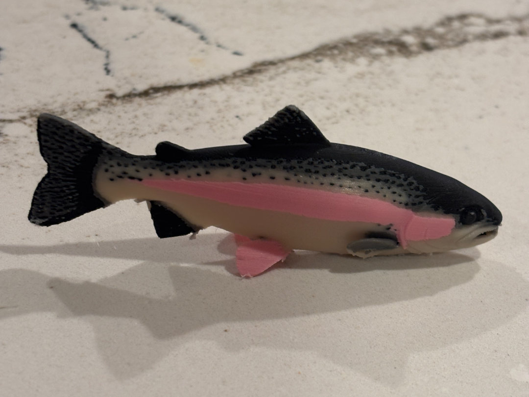 Rainbow Trout - in color for 3d printing