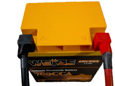 Weize Battery Terminal Covers