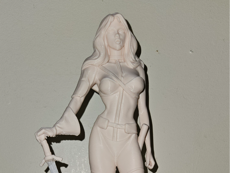 Taarna the Taarakian from the movie Heavy Metal 3D model